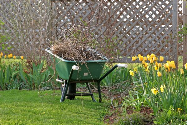 Flower Bed Cleanup Service in Port Charlotte