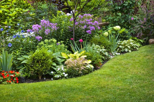 Flower Bed Service in Port Charlotte