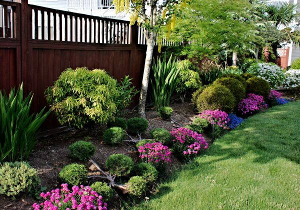Garden Care Service in Port Charlotte