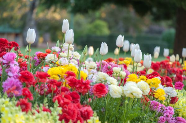 Gardening Service in Port Charlotte