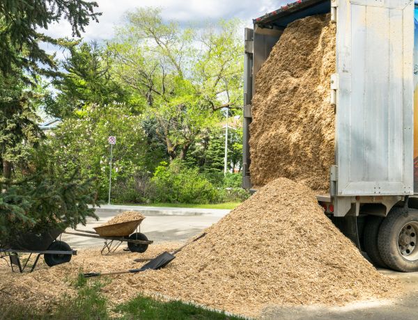 Wood Chips Delivery in Port Charlotte