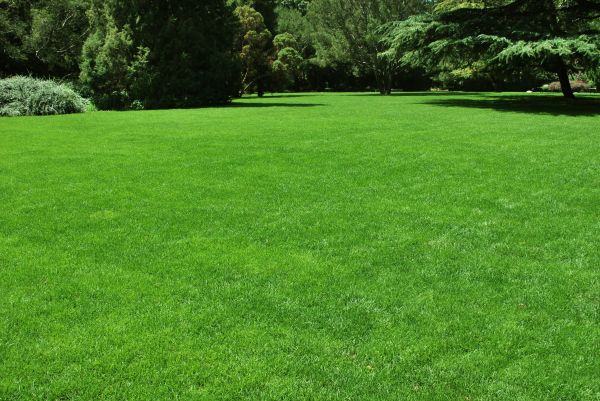 Lawn Landscaping in Port Charlotte