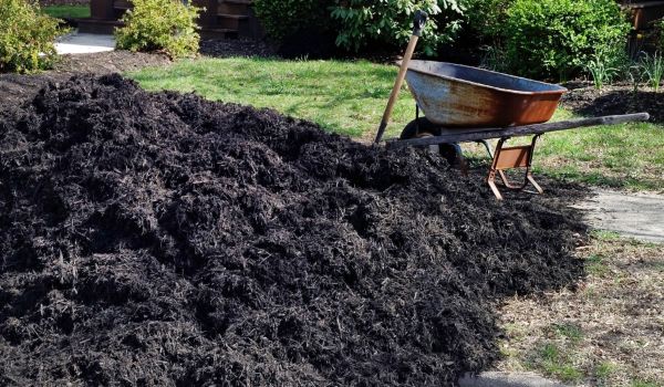 Black Mulch Delivery in Port Charlotte
