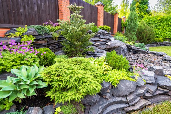 Landscape Remodeling in Port Charlotte