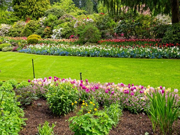 Residential Landscape Design in Port Charlotte