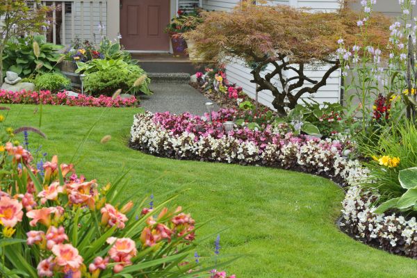 Perennial Landscaping in Port Charlotte