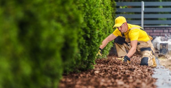 Cypress Mulch Installation in Port Charlotte