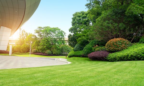 Business Landscape Design in Port Charlotte