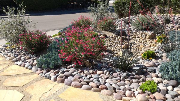 Xeriscape Landscaping in Port Charlotte