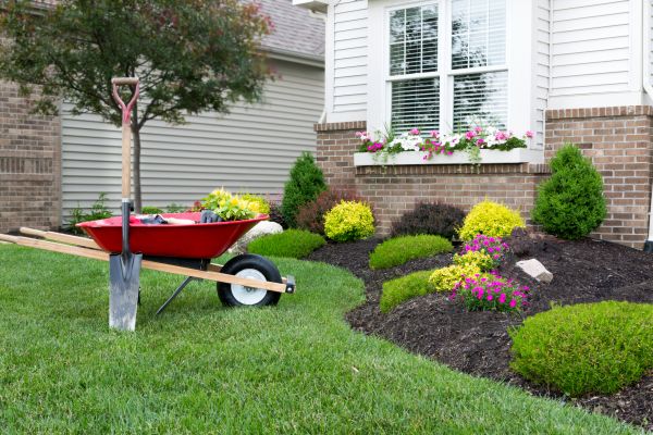Tree And Shrub Planting in Port Charlotte
