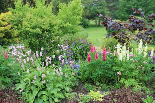 Flower Bed Planting in Port Charlotte