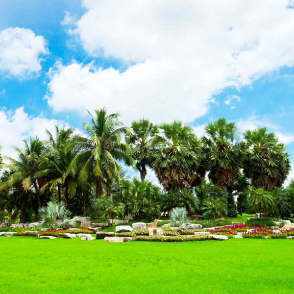 Tropical Landscaping in Port Charlotte