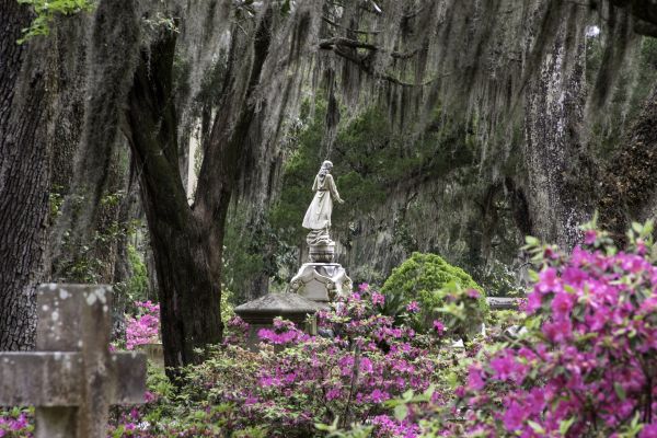 Cemetery Landscaping in Port Charlotte