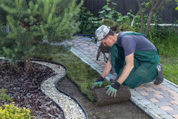 Landscaping Modification in Port Charlotte