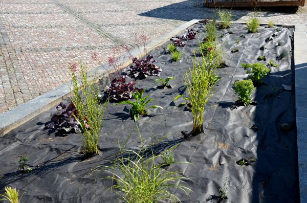 Landscape Fabric Installation in Port Charlotte