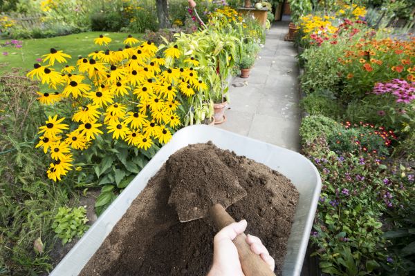 Topsoil Replacement in Port Charlotte