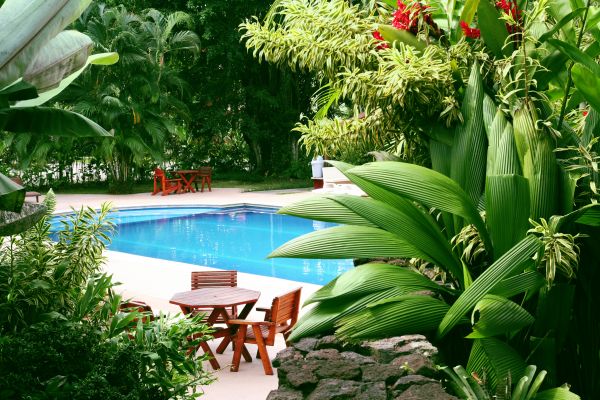 Pool Area Landscaping in Port Charlotte