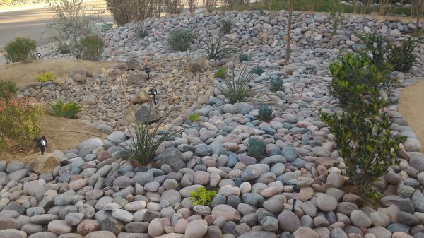 Yard Xeriscaping in Port Charlotte