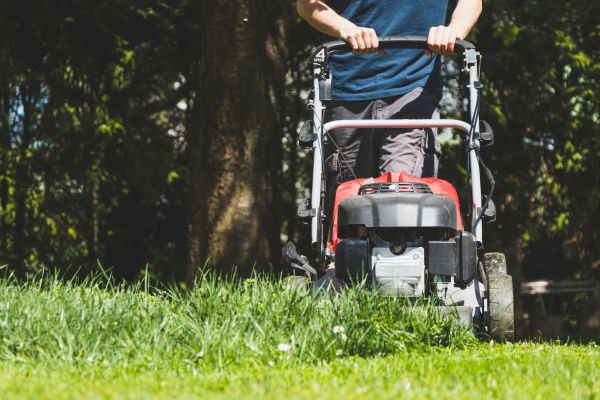 Garden Trimming Service in Port Charlotte