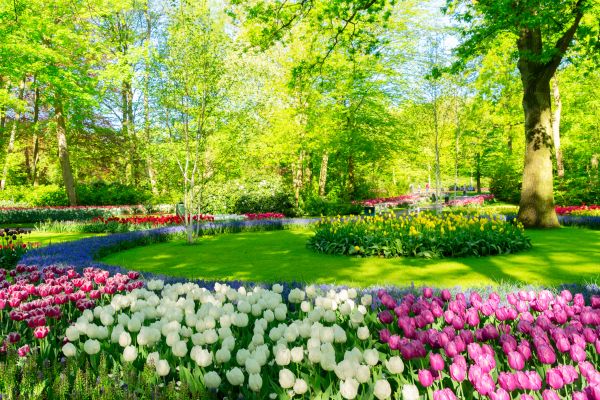 Flower Landscaping in Port Charlotte