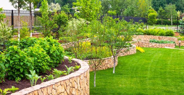 Yard Makeover Service in Port Charlotte