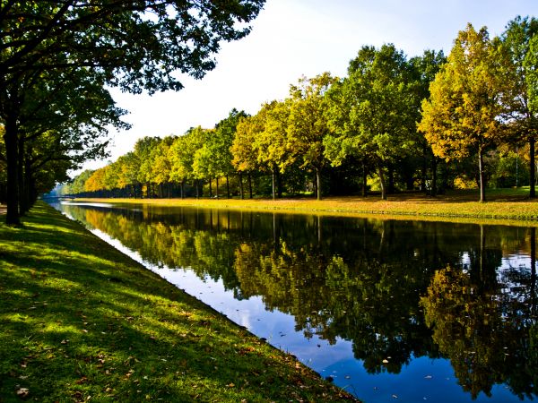 Bank Landscaping in Port Charlotte