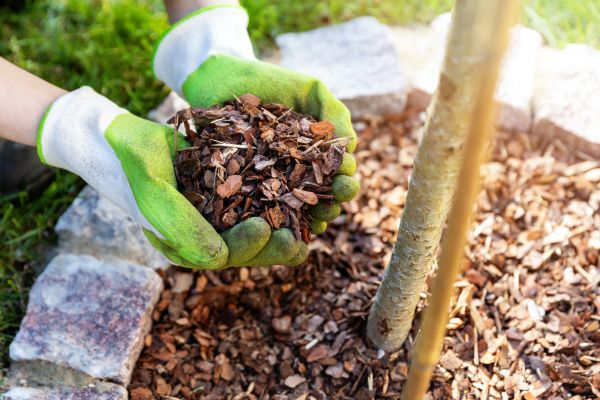 Tree Bark Delivery in Port Charlotte