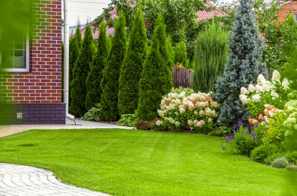 Spring Landscaping in Port Charlotte