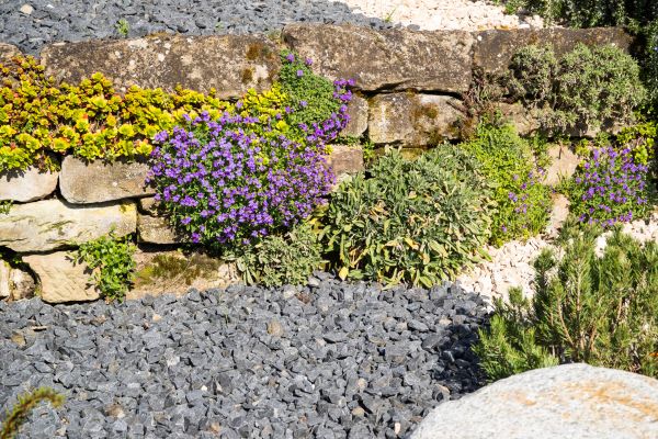 Landscaping Rocks Installation in Port Charlotte