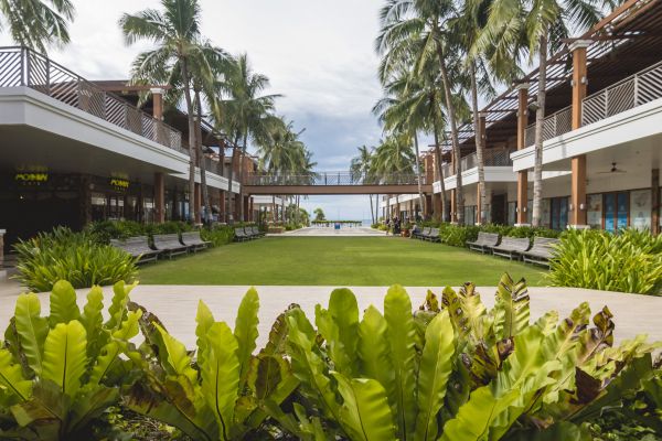 Commercial Lawn Renovation in Port Charlotte