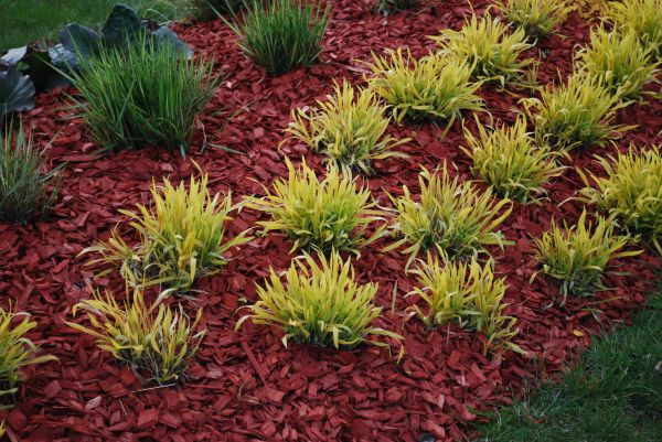 Red Mulch Installation in Port Charlotte