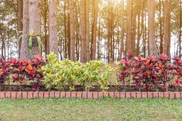 Small Garden Landscaping in Port Charlotte