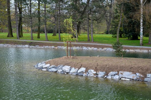 Pond Landscaping Service in Port Charlotte