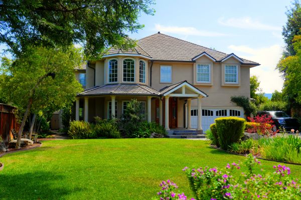 Large Yard Landscaping in Port Charlotte