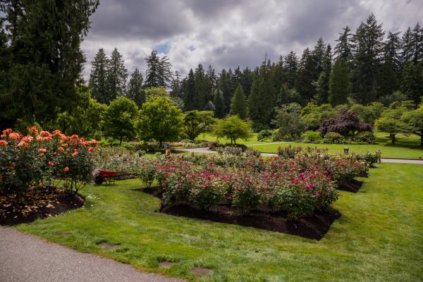 Flower Garden Landscaping in Port Charlotte