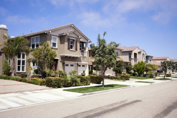Neighborhood Landscaping in Port Charlotte