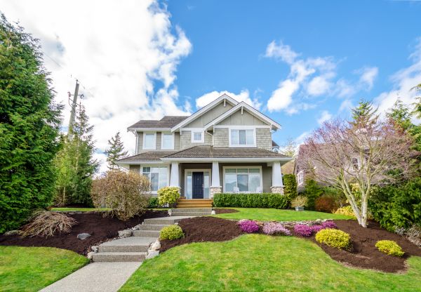 Landscaping Replacement in Port Charlotte