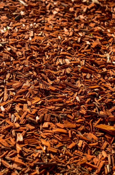 Cedar Mulch Spreading in Port Charlotte