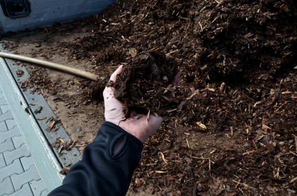 Condo Mulching in Port Charlotte