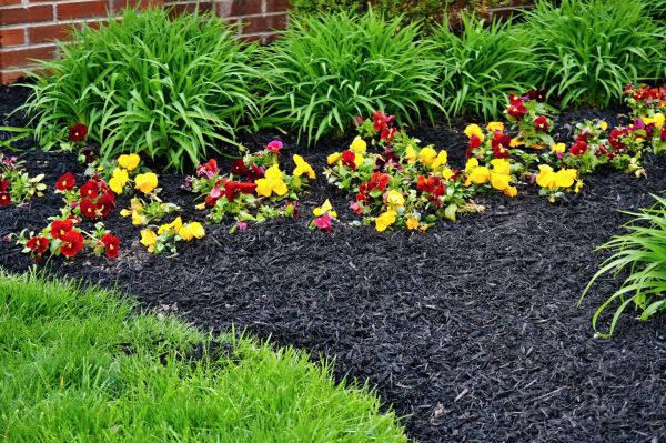 Apartment Mulching in Port Charlotte