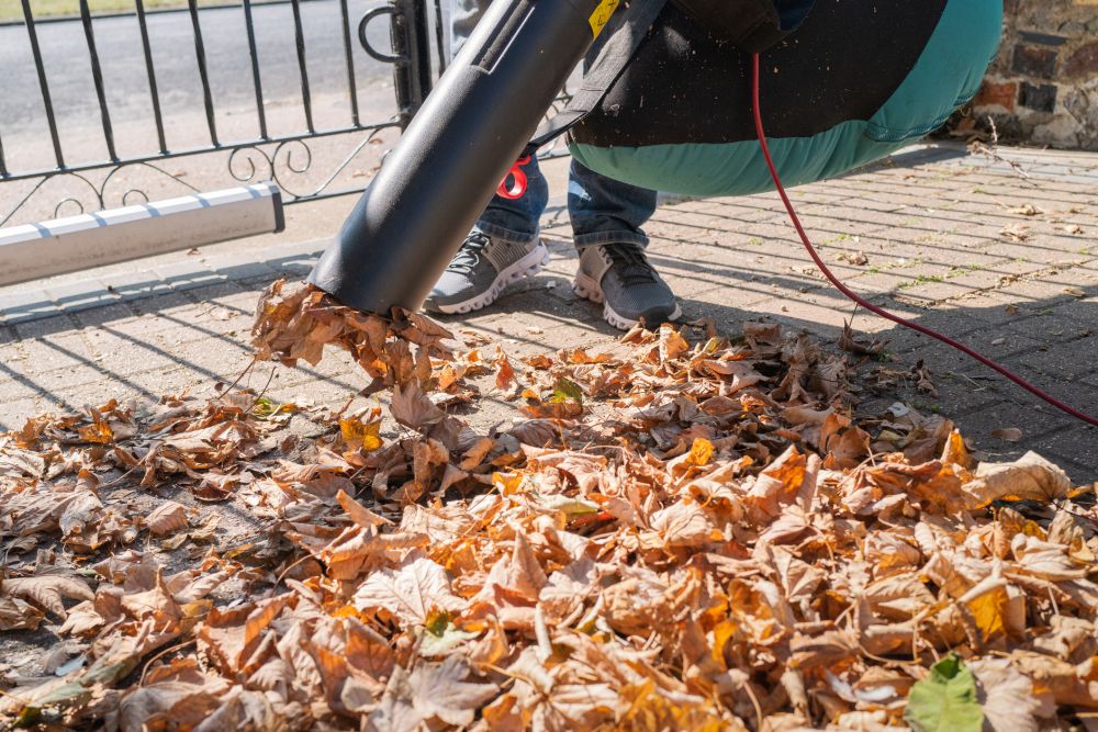 Hotel Leaf Removal