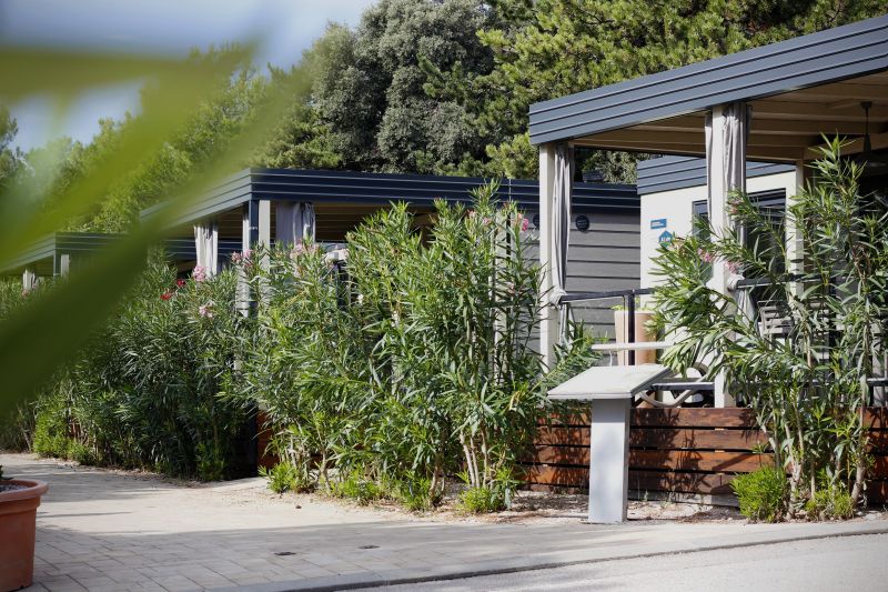 Log Home Landscaping